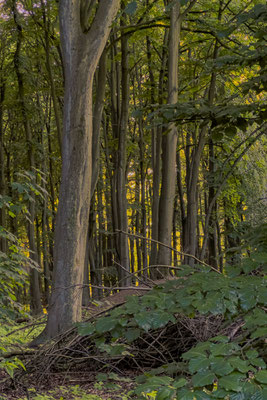 Im Volkspark unterwegs