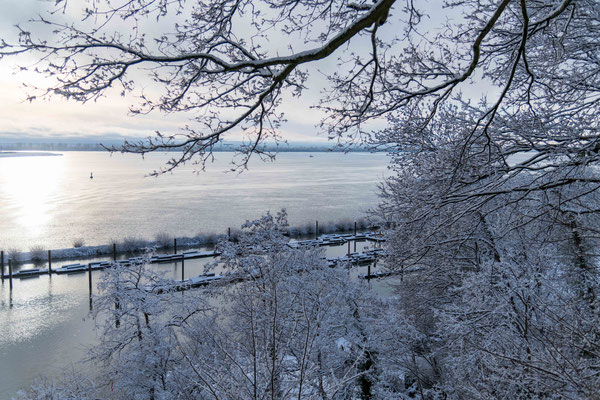 Im Hirschpark Jan. 2026