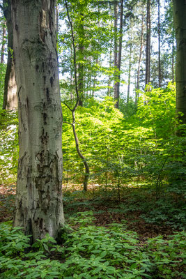 Im Volkspark unterwegs