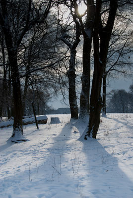 Winter im Jenischpark Hamburg