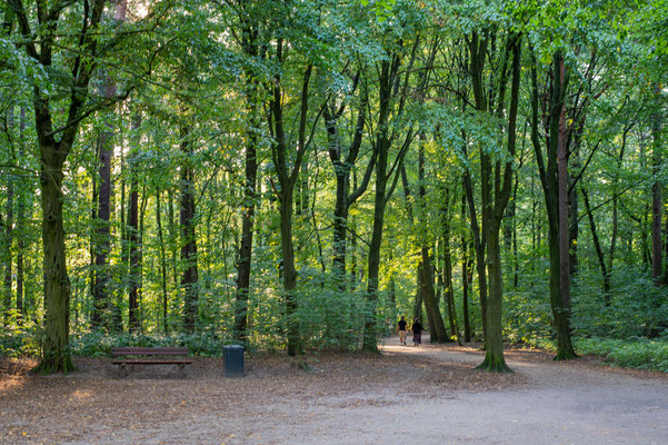Der Volkspark in Hamburg
