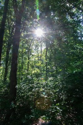 Im Volkspark unterwegs