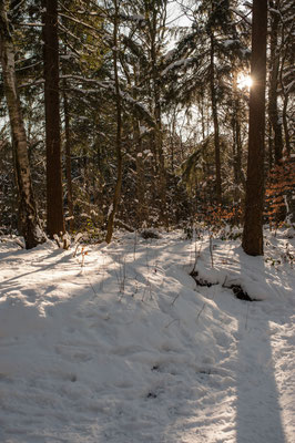 Volkspark Hamburg im Winter