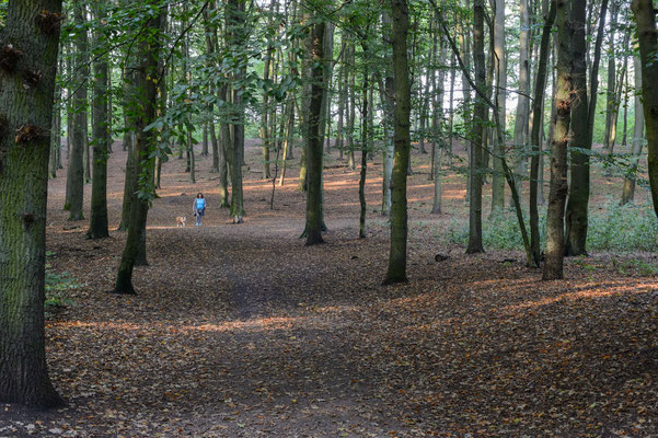 Der Volkspark in Hamburg