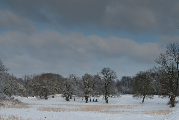 Winter im Jenischpark Hamburg