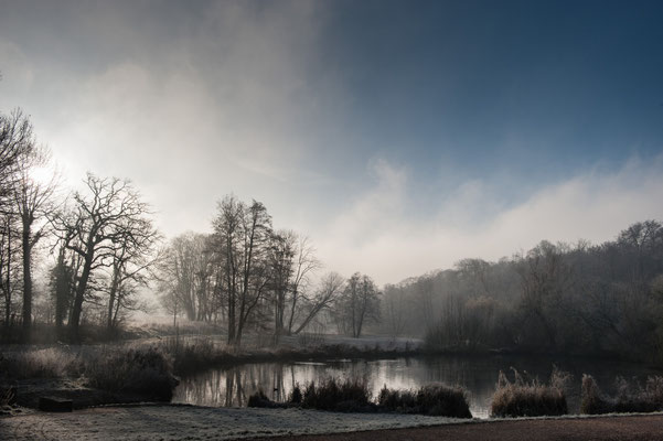 Morgennebel im Jenischpark Hamburg