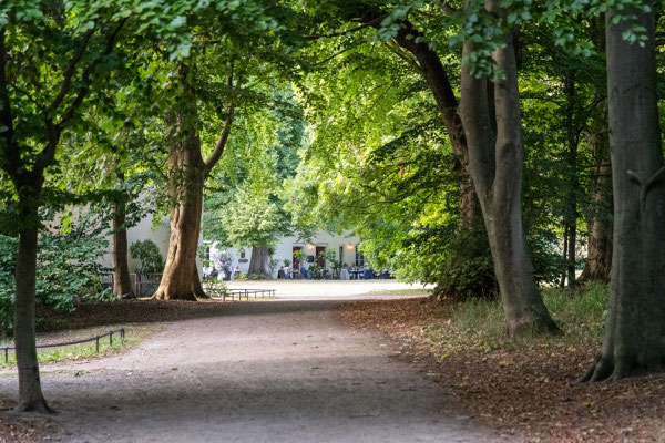 Im Hirschpark unterwegs