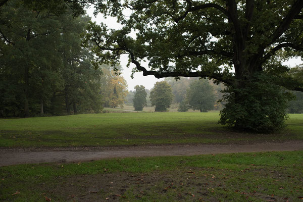 Der Volkspark in Hamburg