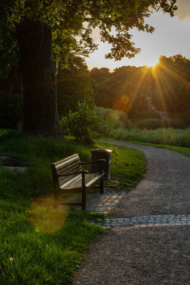 Sonnenuntergang im Jenischpark