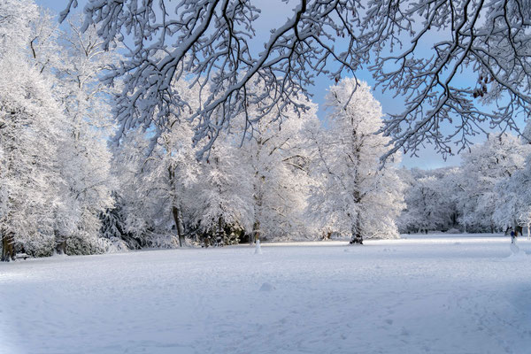 Im Hirschpark Jan. 2026