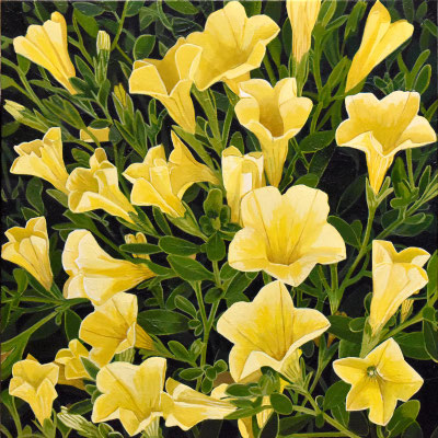 Andrew Woodward, "Yellow Petunias," 2022, acrylic on panel, 12 x 12 inches, $2,400
