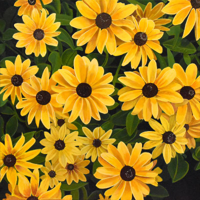 Andrew Woodward, "Black-eyed Susans," 2022, acrylic on panel, 12 x 12 inches, $2,400