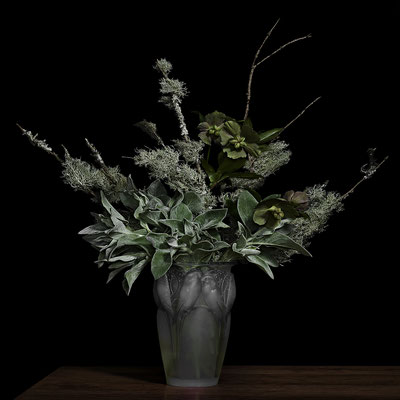 T.M. Glass, "Lambs Ear and Lichens on Pine Branches in a Lalique Glass Vase," archival pigment print on hand-made Italian rag paper, available in 30 x 30 inches, 42 x 42", 52 x 52", and 58 x 58", contact for price 