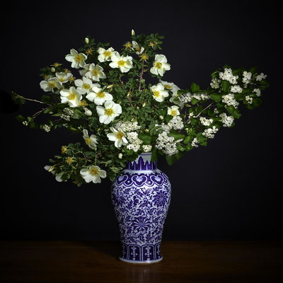 T.M. Glass, "White Hawthorne and White Shrub Rose in Blue and White Chinese Vessel," archival pigment print on hand-made Italian rag paper, available in 30 x 30 inches, 42 x 42", 52 x 52", and 58 x 58", contact for price