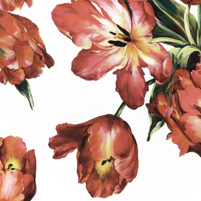 Joshua Jensen-Nagle, "Dolce and Gabbana's Tulips," archival inkjet print face-mounted to Plexiglass, 34 x 34" (also available: 23 x 23; 43 x 43; 58 x 58)