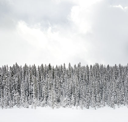 Joshua Jensen-Nagle, "Silent Memories (Lake Louise, Canada,)" archival inkjet print face-mounted to Plexiglass, available in: 30x31.5", 41x43", 55x58"