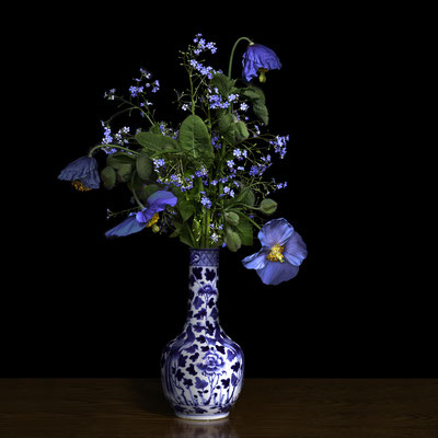 T.M. Glass, "Blue Poppy in a Blue and White Chinese Vase," 2020, archival pigment print on hand-made Italian rag paper, 30 x 30 inches (also available in 52 x 52"; 58 x 58"), contact for price