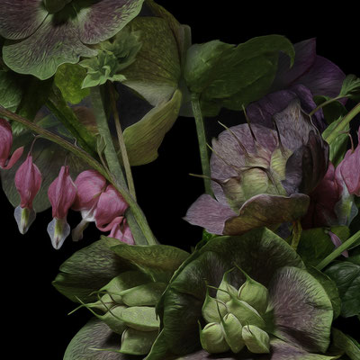 T.M. Glass, "Hellebores and Bleeding Hearts," 2020, archival pigment print on hand-made Italian rag paper, 18 x 18" (also available in: 30 x 30", 42 x 42", 52 x 52"; 58 x 58",) contact for price