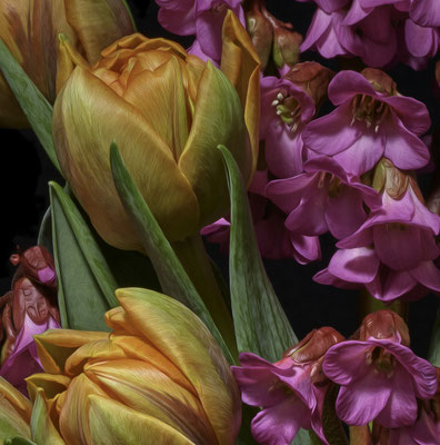 T.M. Glass, "Azaleas and Tulips," 2020, archival pigment print on hand-made Italian rag paper, 18 x 18" (also available in: 30 x 30", 42 x 42", 52 x 52"; 58 x 58",) contact for price