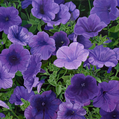 Andrew Woodward, "Petunia Quinta Blue Returns," 2022, acrylic on panel, 12 x 12 inches, $2,400