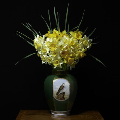 T.M. Glass, "Narcissus in a Green Falcon Vessel," archival pigment print on hand-made Italian rag paper, available in 30 x 30 inches, 42 x 42", 52 x 52", and 58 x 58", contact for price