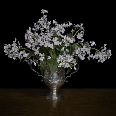 T.M. Glass, "Woodland Scilla and Phlox in a Silver Cup," archival pigment print on hand-made Italian rag paper, available in 30 x 30 inches, 42 x 42", 52 x 52", and 58 x 58", contact for price 