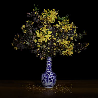 T.M. Glass, "Yellow Azaleas and Barberry in a Blue and White Chinese Vase," archival pigment print on hand-made Italian rag paper, available in 30 x 30 inches, 42 x 42", 52 x 52", and 58 x 58", contact for price 