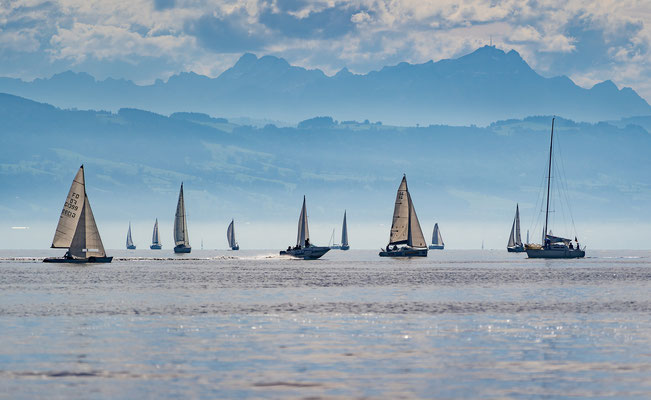 Bodensee Schifffahrt Schiffe Wasser Urlaub