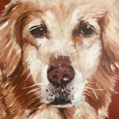 Ginger,2022,Öl auf Leinwand, 30 x 30 cm