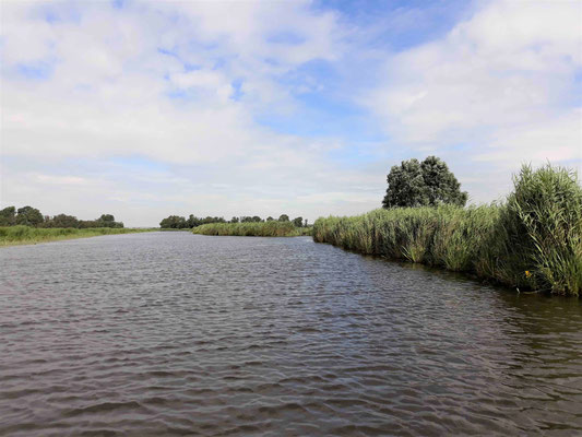 Es ist ziemlich laut, unter Motor zu fahren. Die eigentliche Freude wäre paddeln und die Natur genießen.