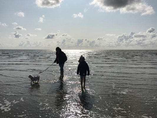 Eigentlich mag Puschel kein Wasser