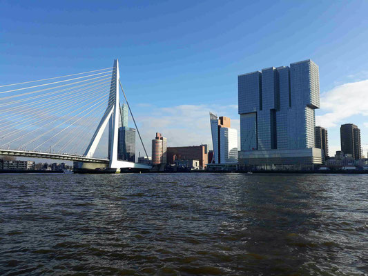 "Erasmusbrücke" - das Wahrzeichen von Rotterdam ...