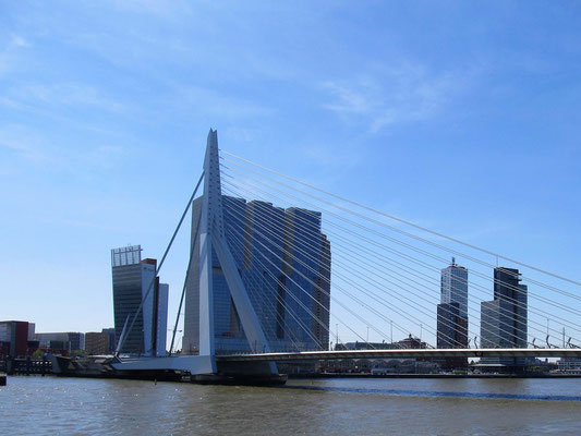 "De Rotterdam" - imposantes Hochhaus an der Erasmusbrücke