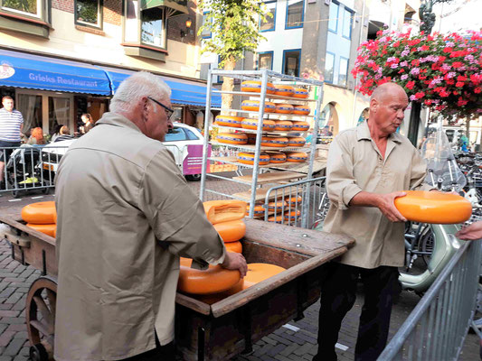 ein schlichtes Ende der Käse-Performance