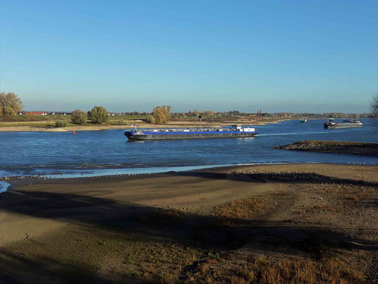 "Spaziergang durch den Rhein", kann man fast sagen, und eine Katastrophe für die Berufsschifffahrt