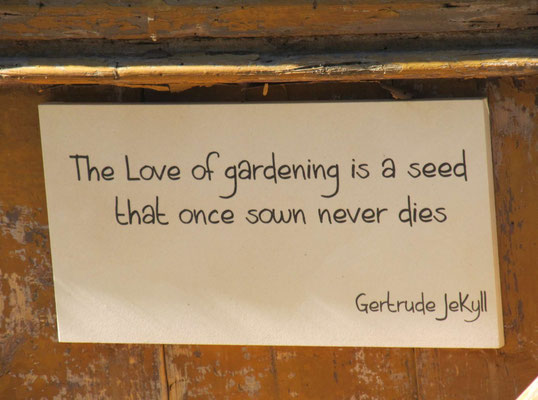 "Die Liebe zur Gartenarbeit ist ein Samen, der einmal gesät, niemals stirbt" / Gertrude JeKyll