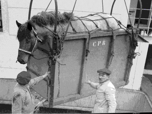 und dargestellt auf einem Bild von 1920