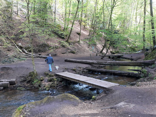 Um 1780 sollte der Trippstädter Schlossgarten zu einem ersten Landschaftsgarten umgebaut werden. Die spröde Naturschönheit im "Karlstal" verzauberte damals den Freiherrn. 