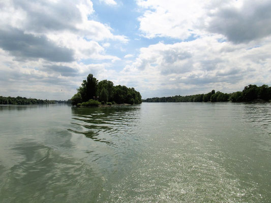 Nach einer Nacht im Hafen "Nautic Club" in Kehl am 17.06.2019 geht es den Rhein runter 