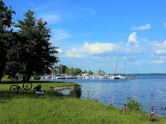 Hafen Schwerin und sein Umfeld - blau-blau-grün - blauer Himmel-blau der See-grün die Parkanlage  
