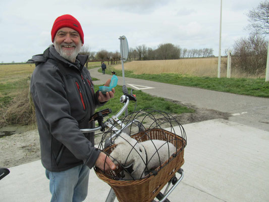 Fahrradtour nach "Franeker" - nur 8 km zu Fuß