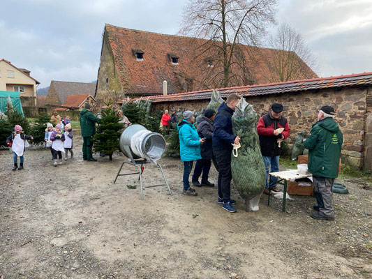 Um 13:00 Uhr startete der Christbaumverkauf