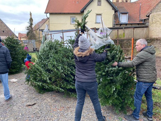 Die Jagd auf den schönsten Baum war eröffnet