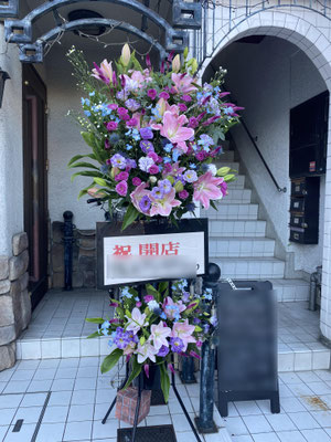 参考価格￥22.000（本体価格￥22.000）