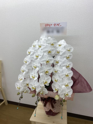 参考価格￥25.000（税込価格￥27.500）