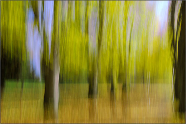 Herbst im Park