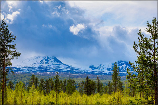 Landschaft bei Bardufoss, Troms