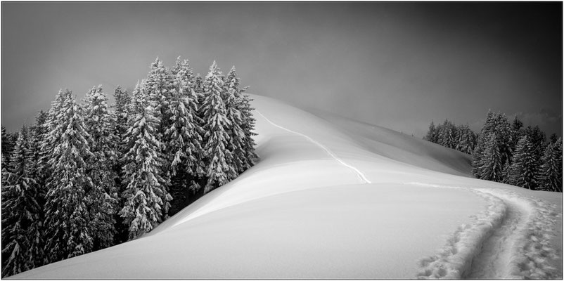 Weg zur Hohen Kugel, Bregenzerwald