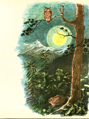 Illustration 7: Purzel, Verlag der Bea Bücher Zürich 1953.
