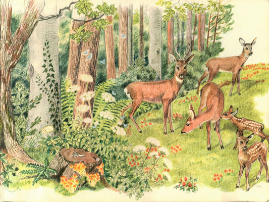 Illustration 11: Allerlei Waldbewohner, Papyria AG Zürich 1945.